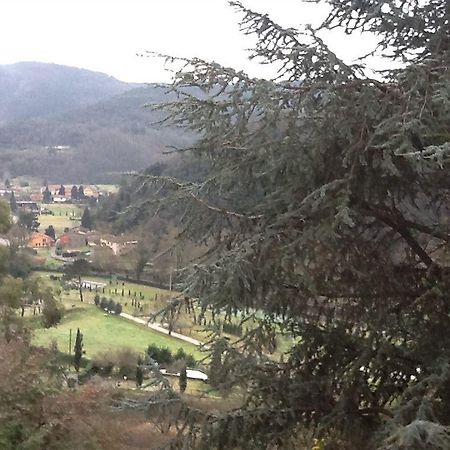 Villa Torre Degli Onesti San Martino in Freddana Dış mekan fotoğraf