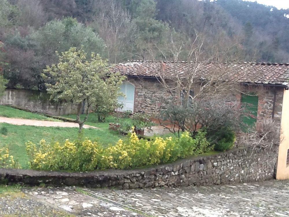 Villa Torre Degli Onesti San Martino in Freddana Dış mekan fotoğraf